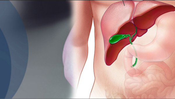 gastric-and-liver-diseases-treatment-service gastric-and-liver-diseases-treatment-service